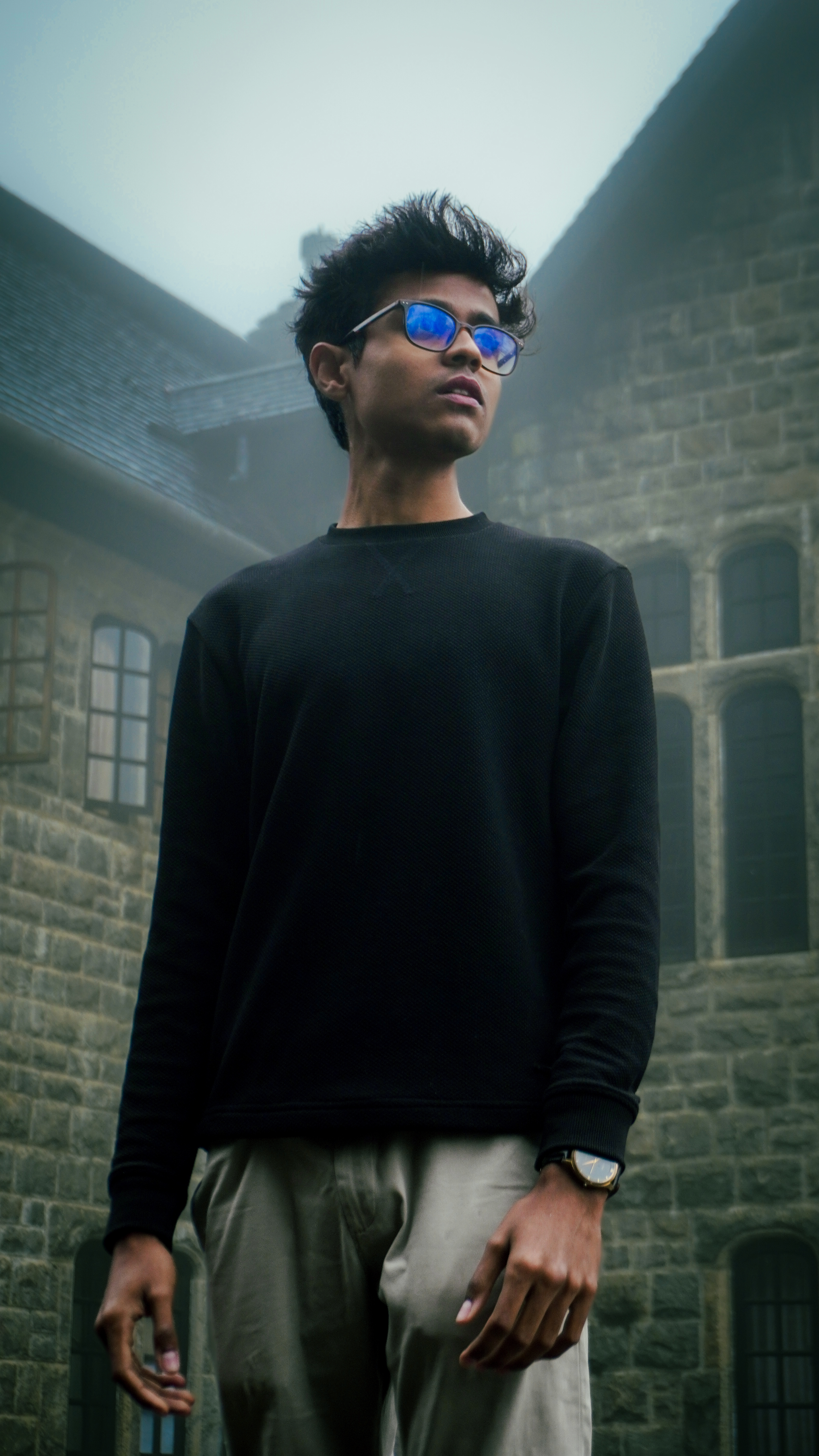 Dulain portrait